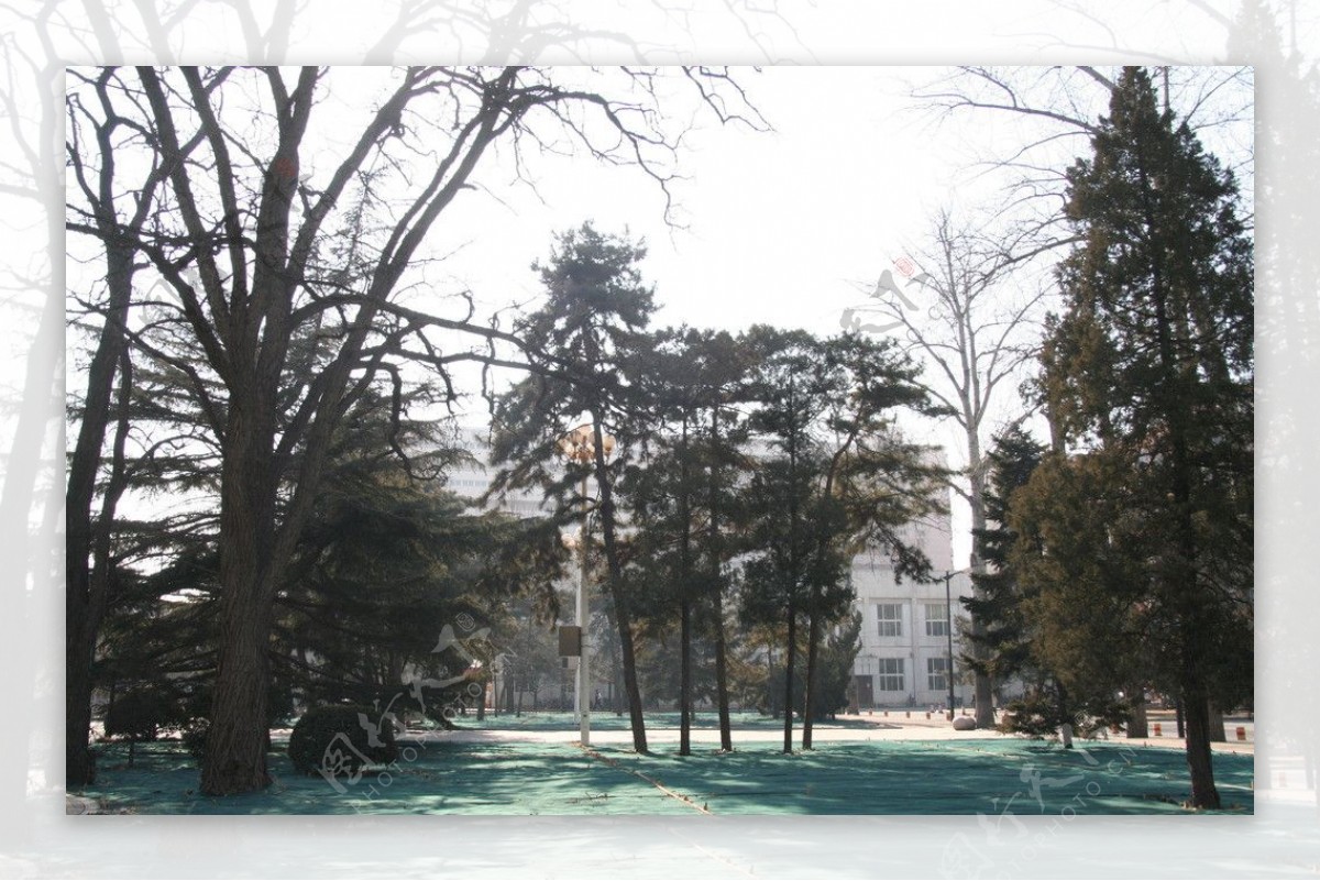 中国人民大学风景图片