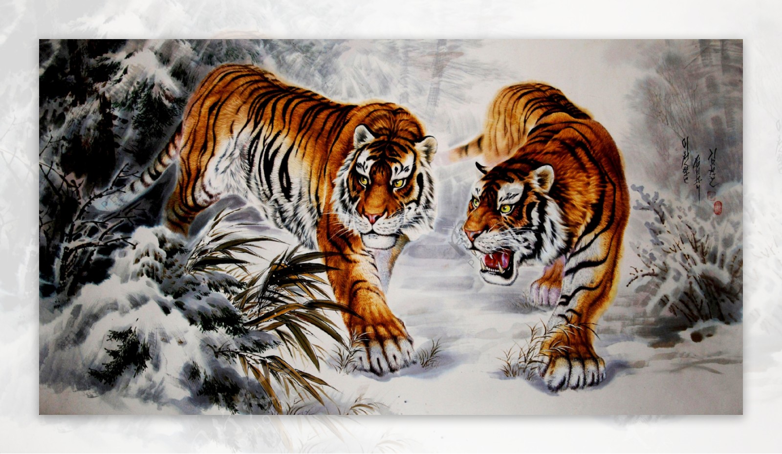 冬天的虎图片