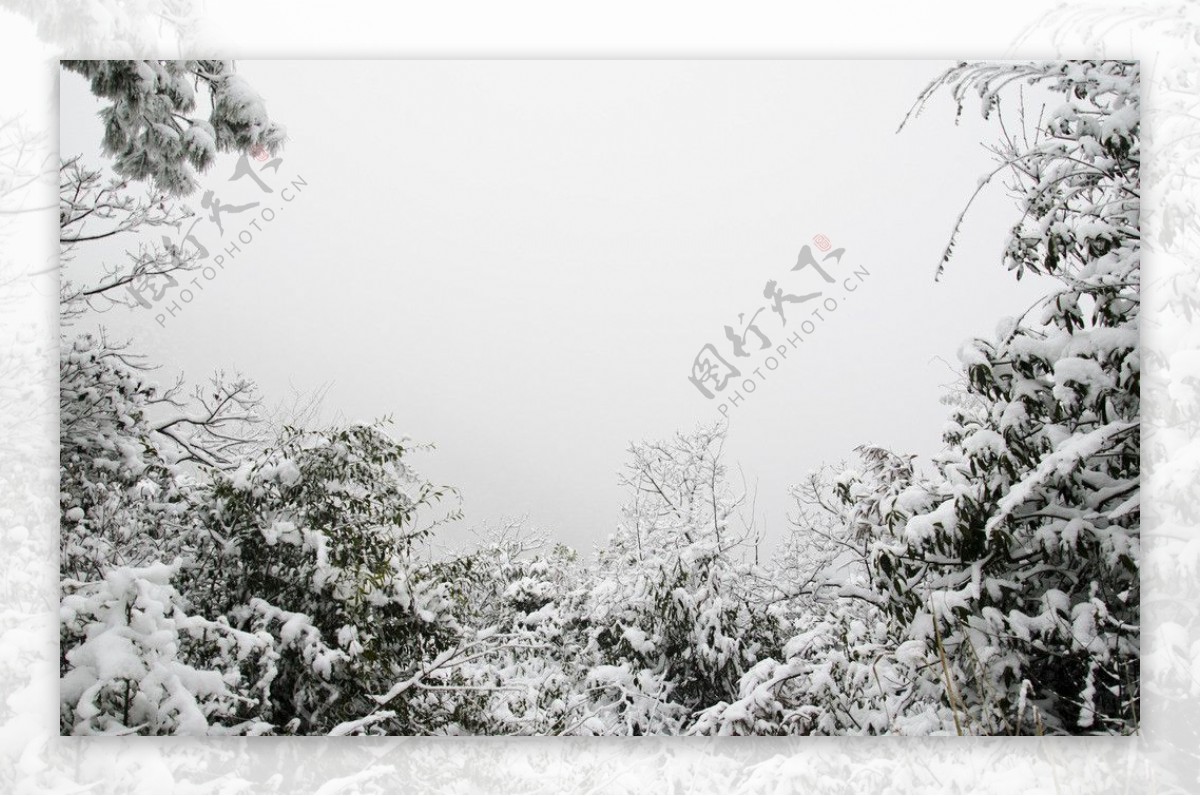 雪景图片