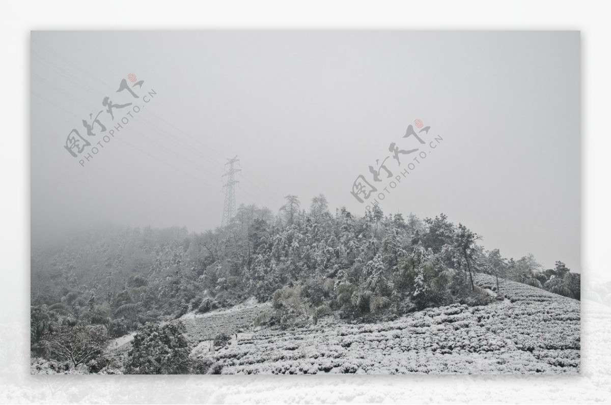 雪景图片