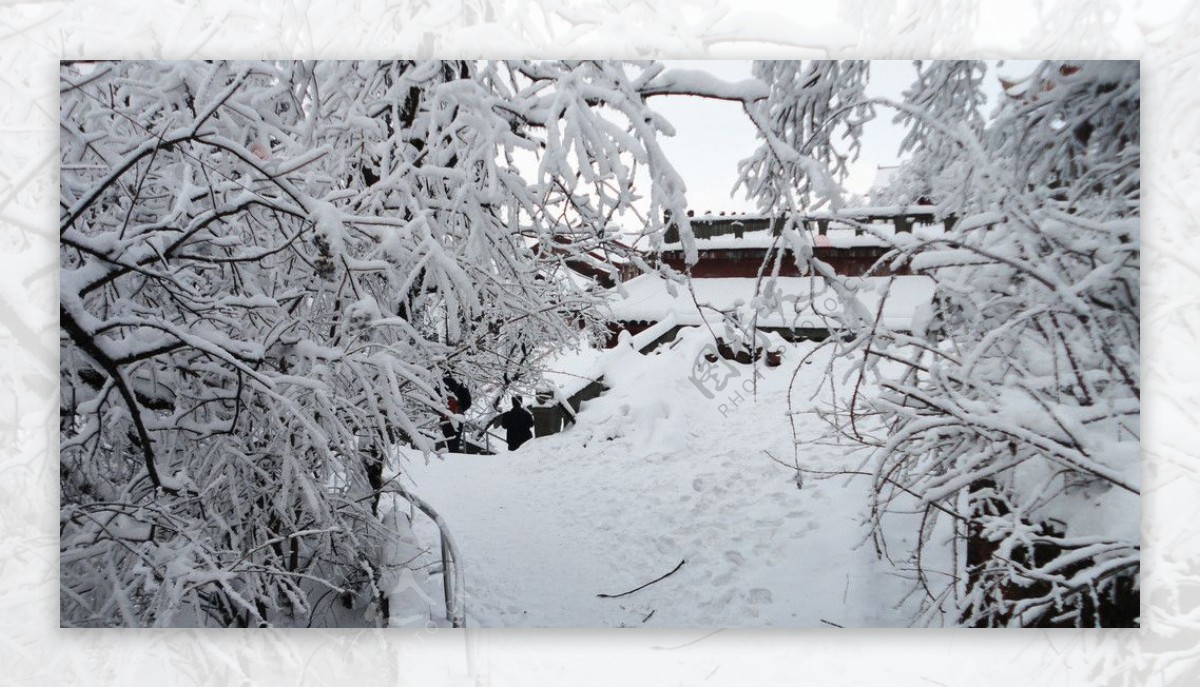 雪景非高清图片