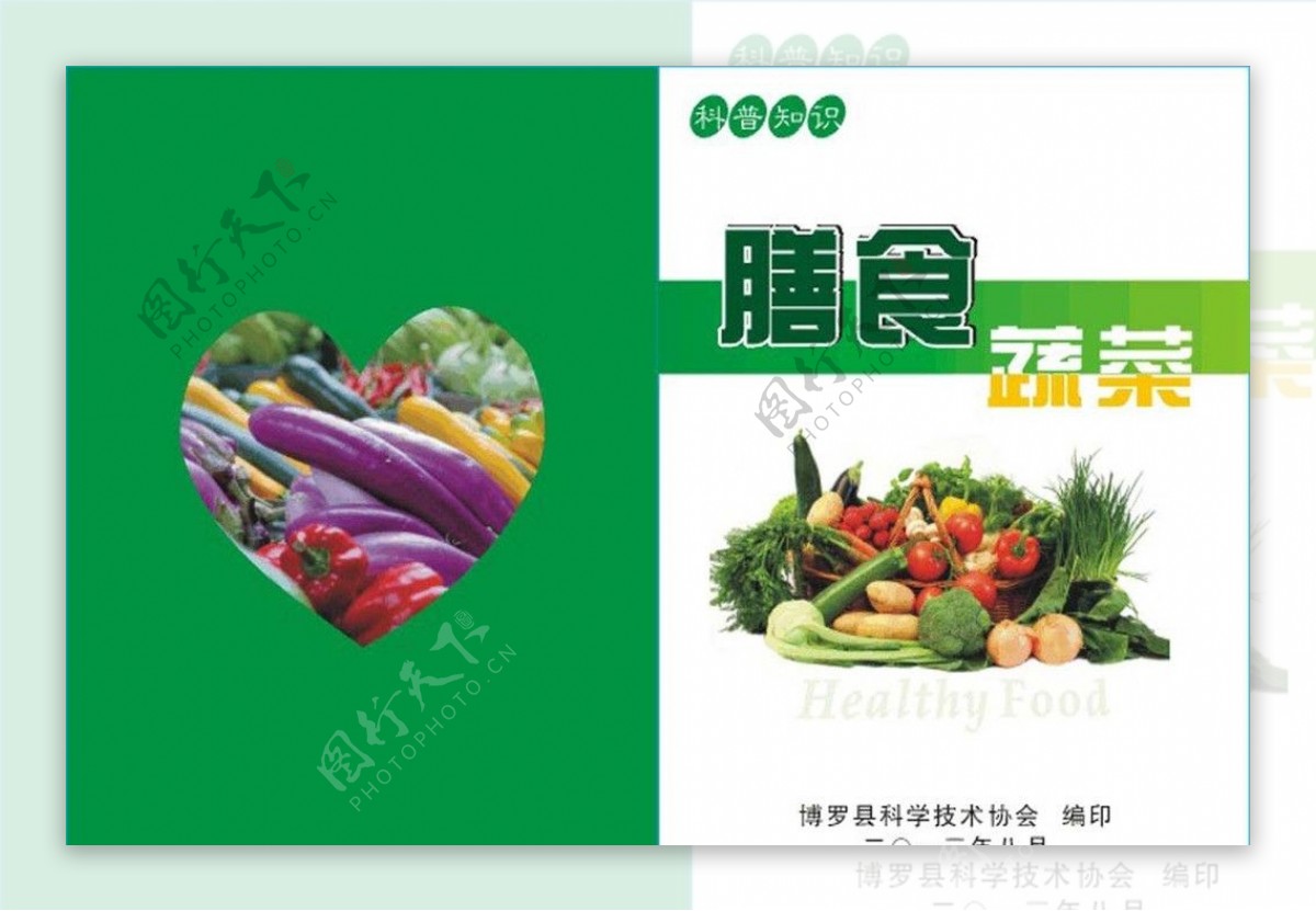 膳食蔬菜小册子封面图片