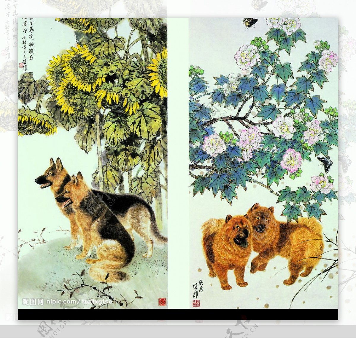 芙蓉双犬图片