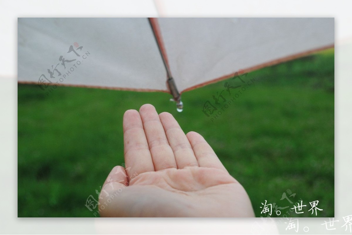 手和雨伞图片