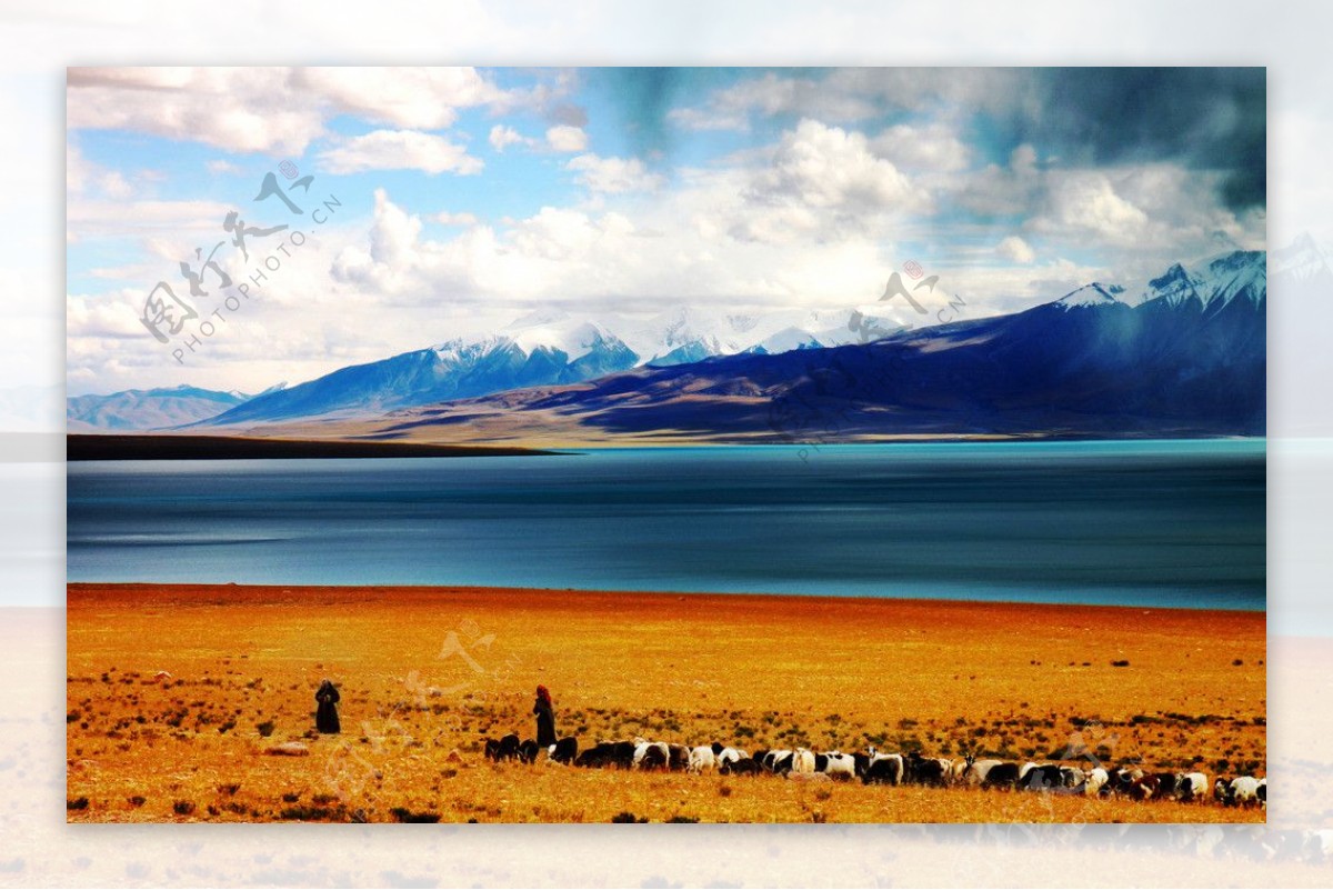 西藏高原景观图片