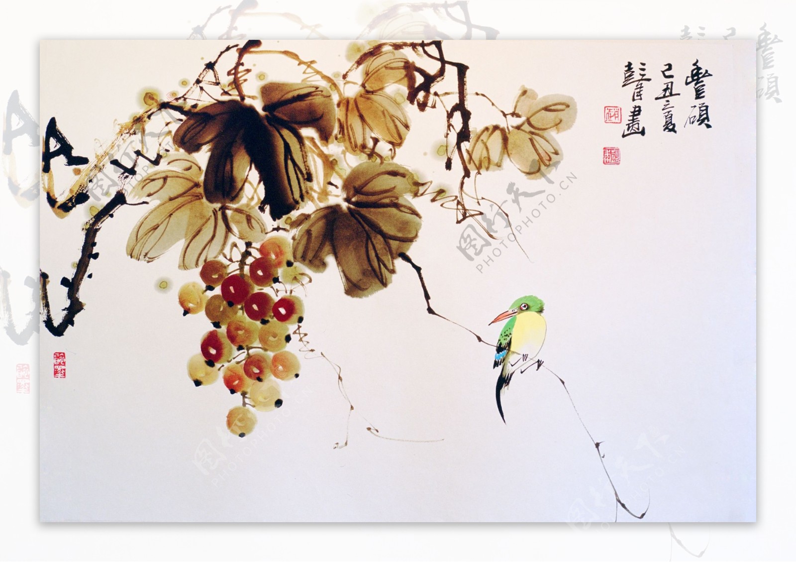 中国国画葡萄图片