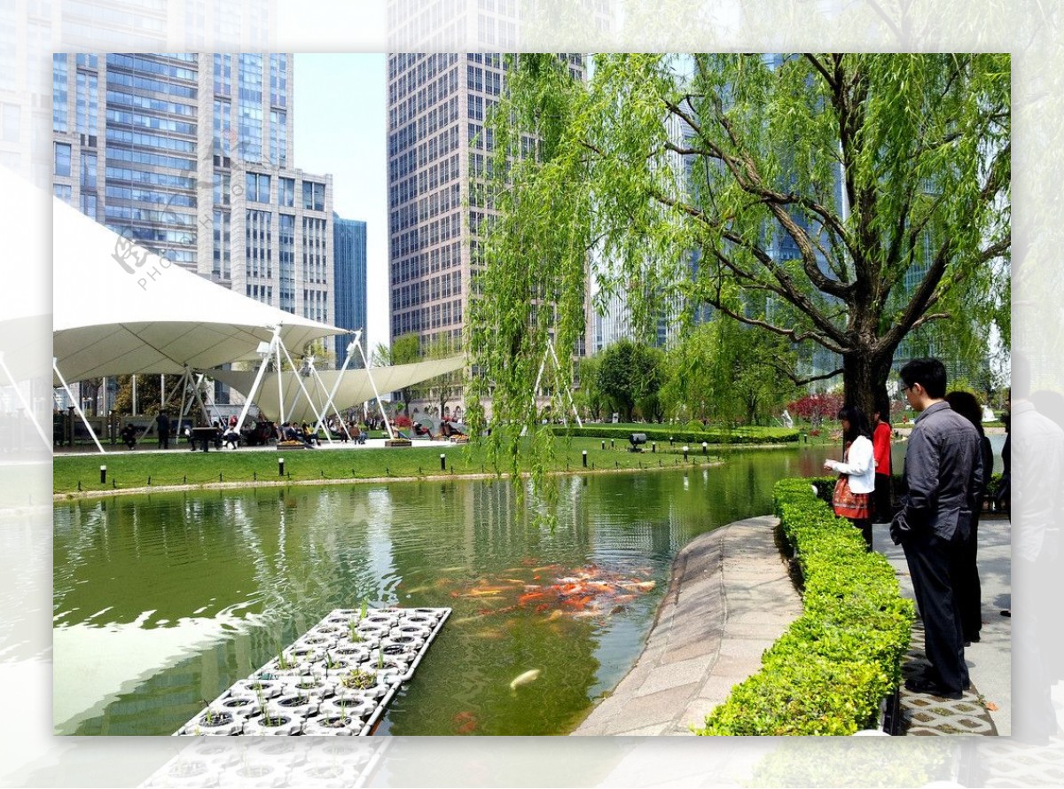 上海陆家嘴中心绿地图片