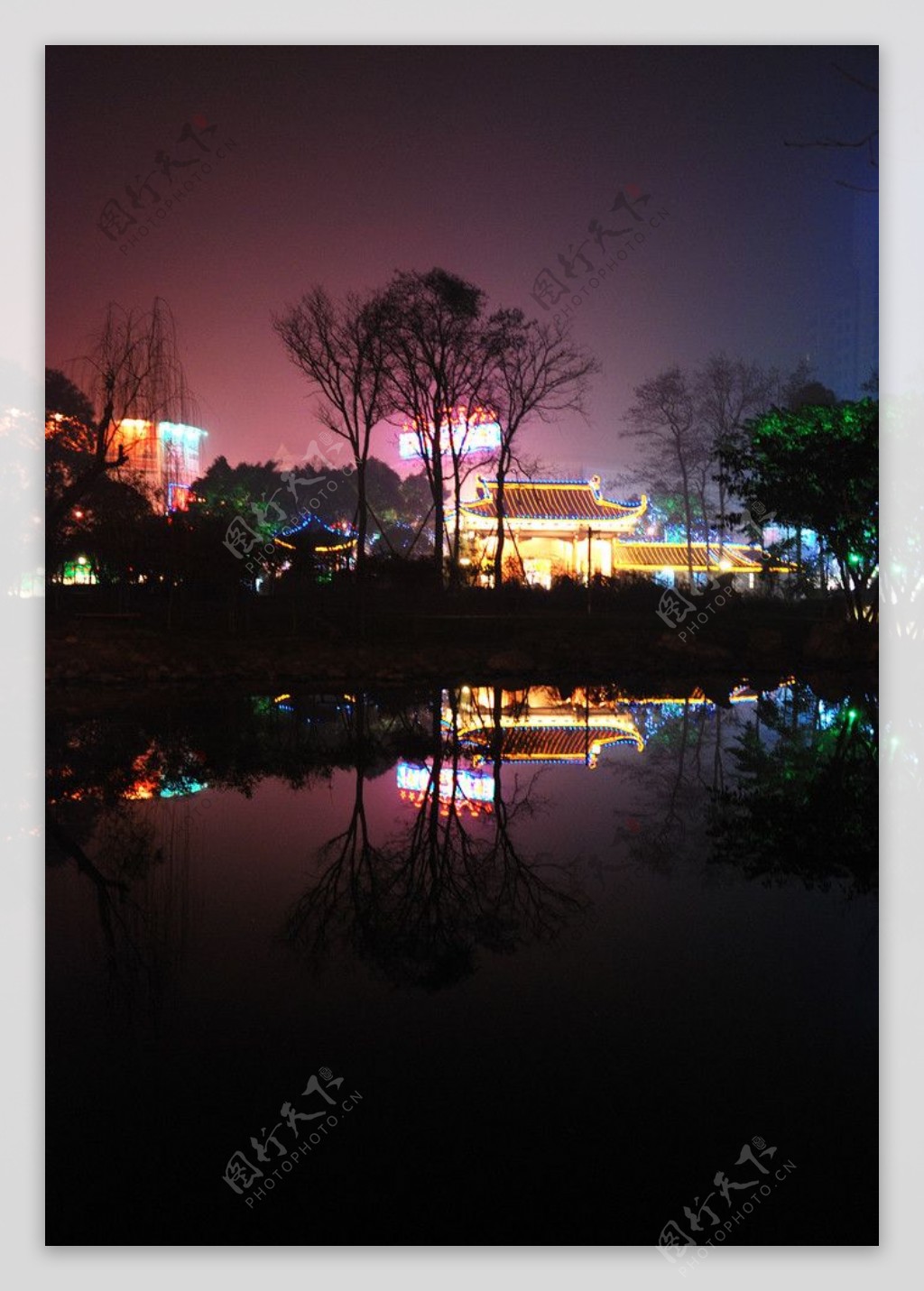 桂湖夜景图片