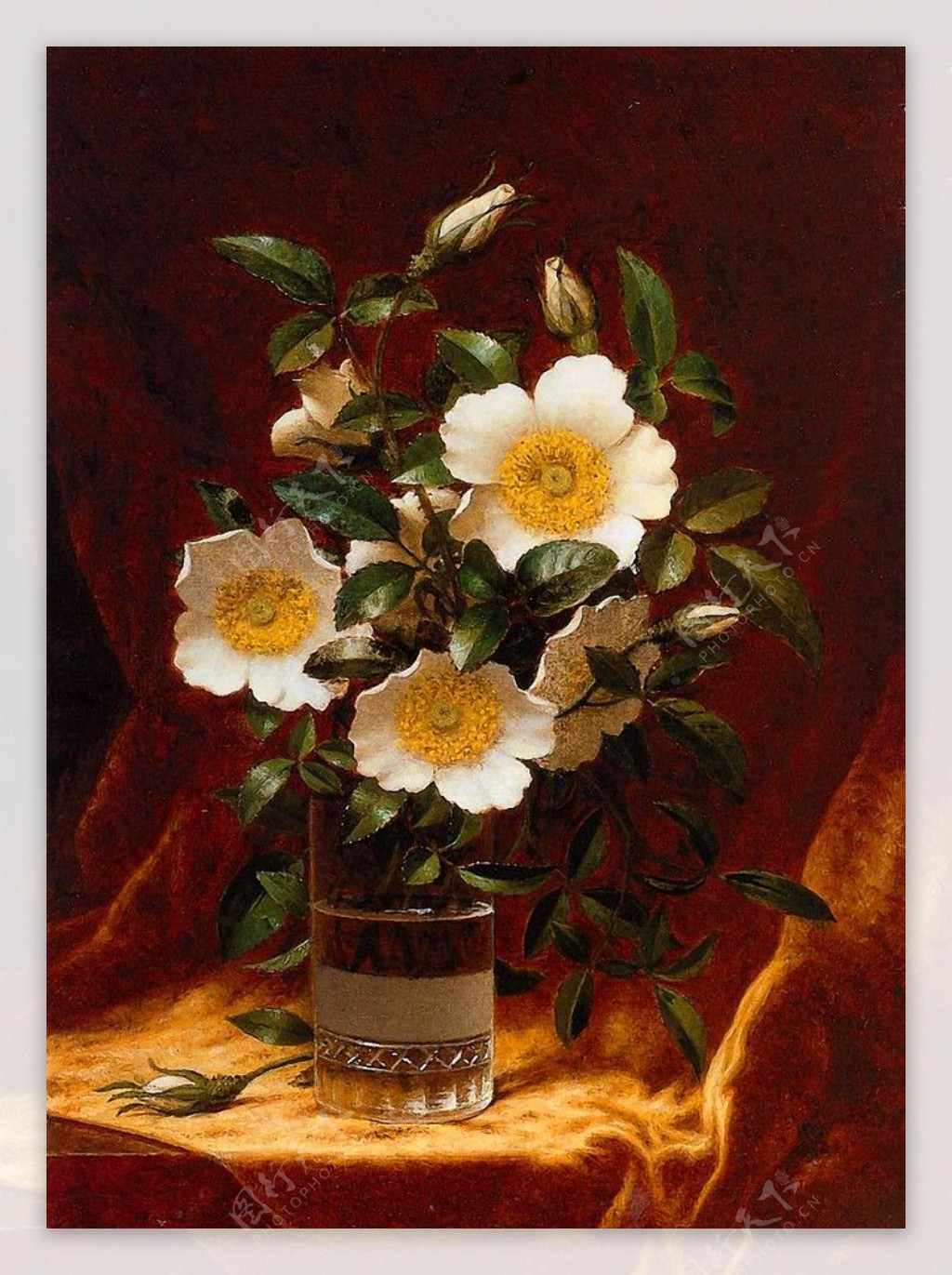 油画玻璃杯中的切诺基玫瑰图片