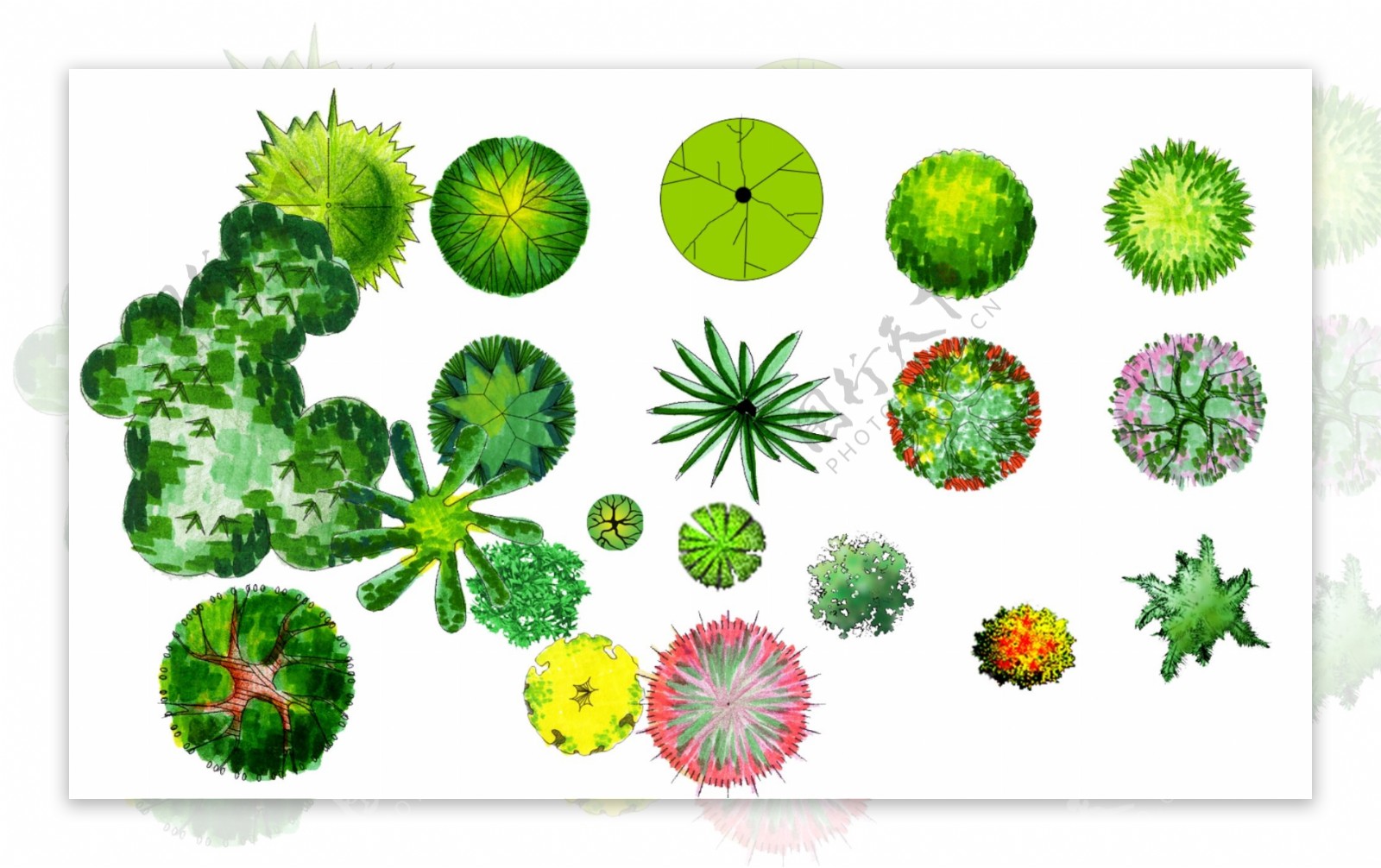 景观平面效果图植物图例psd图片