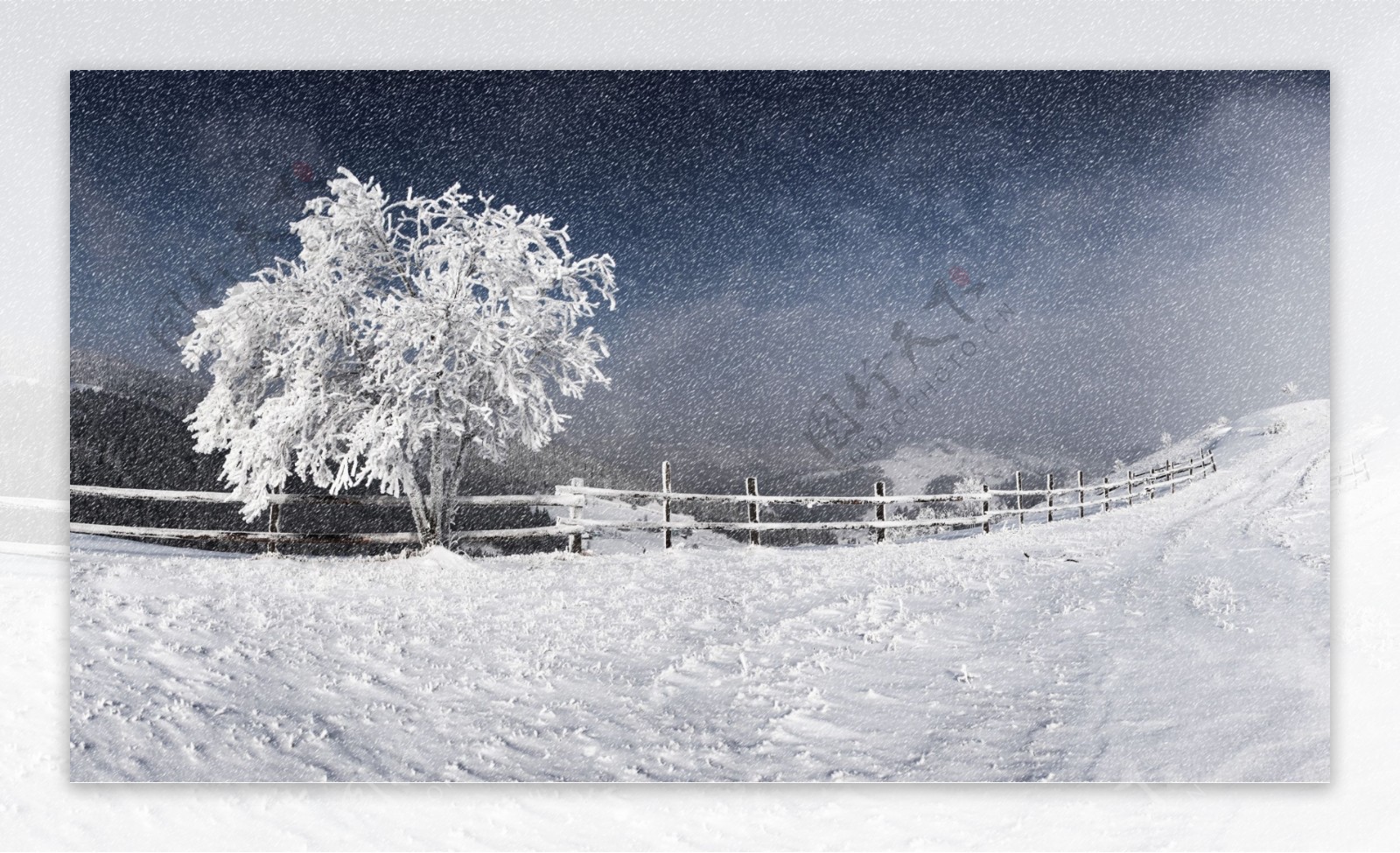 冬季原野大雪纷飞雪景图片