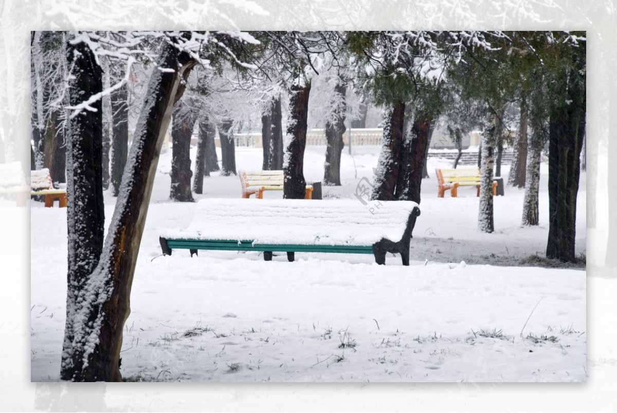 冬季雪景高清图片