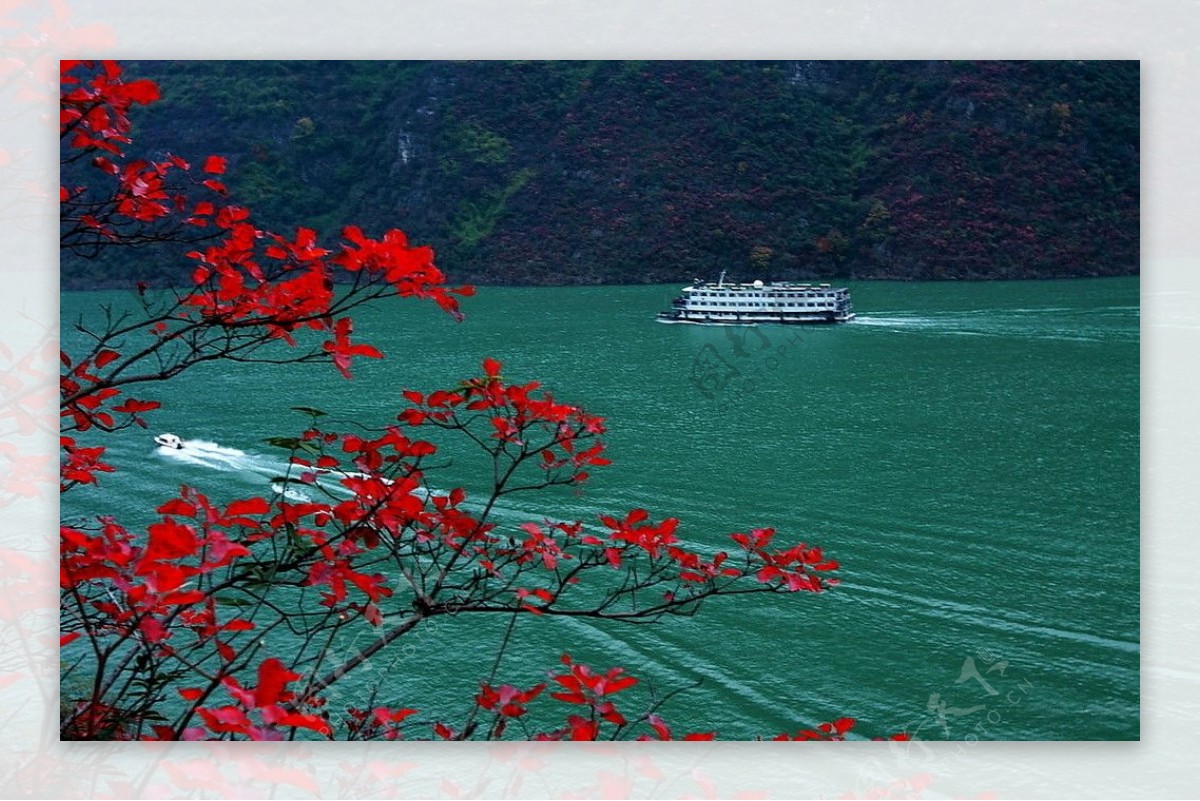 三峡红叶似彩霞图片