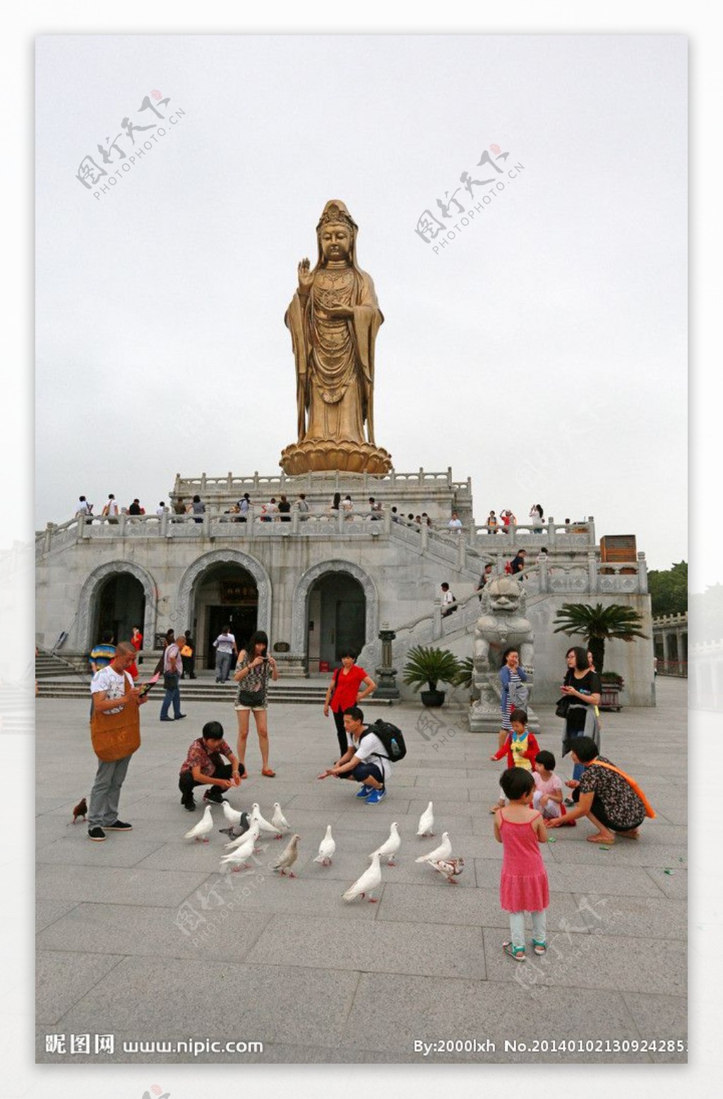 普陀山南海观音图片