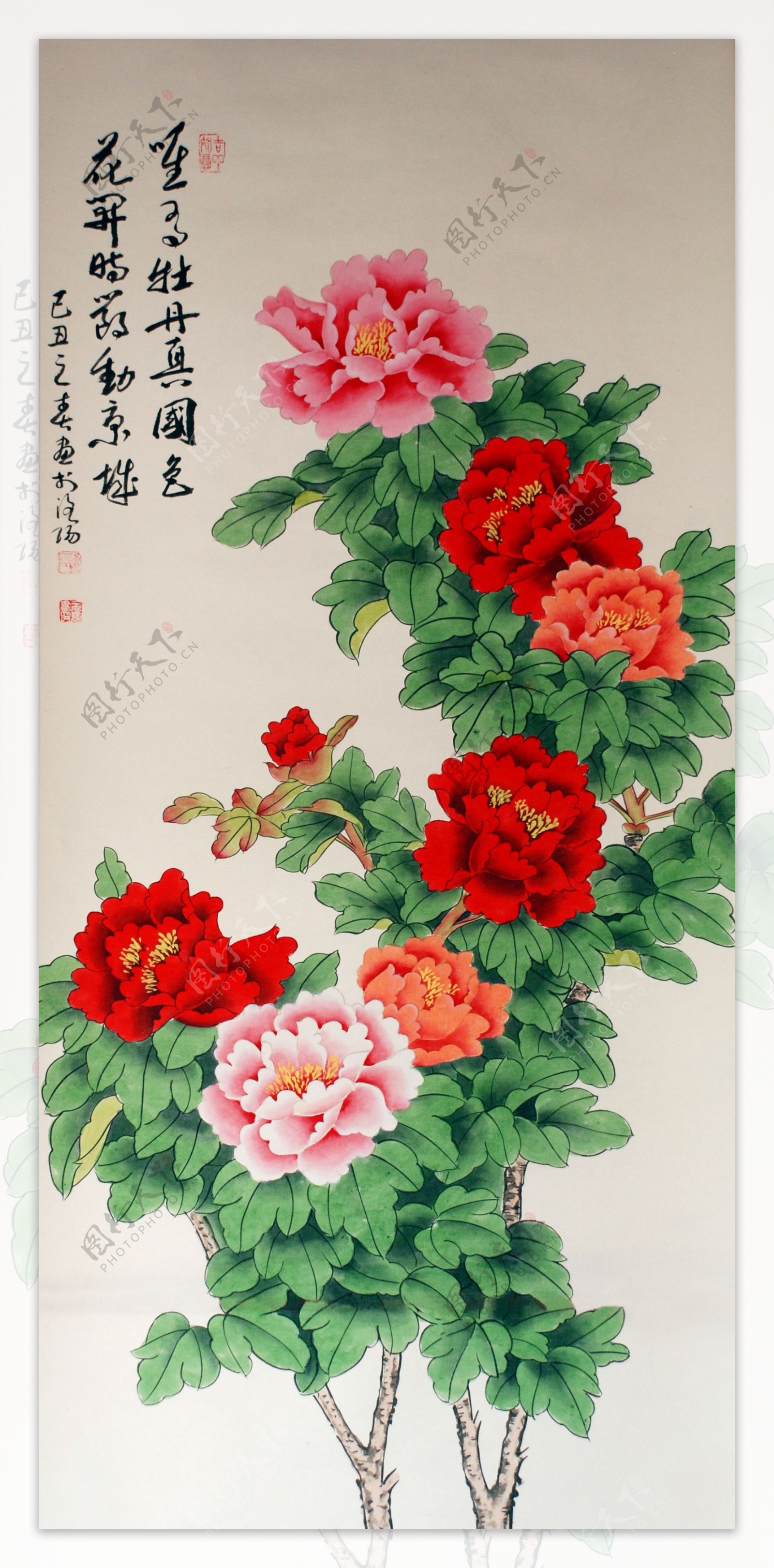 唯有牡丹真国色花开时节动京城图片