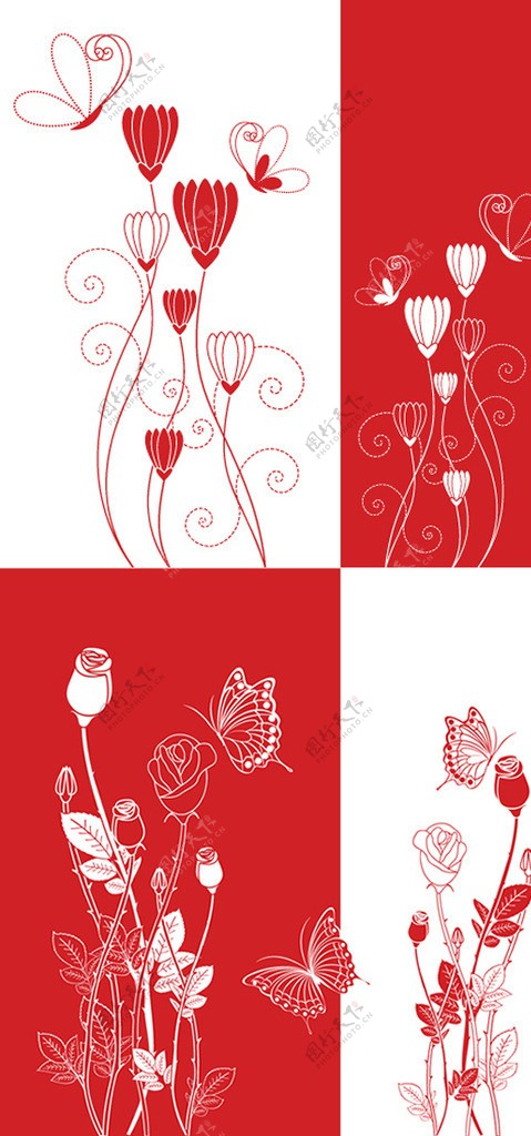 红白花卉背景图片