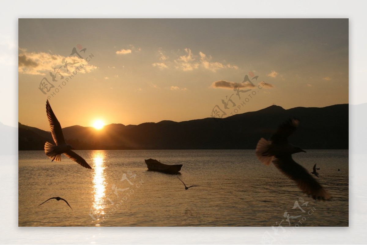 湖畔日出飞鸟图片