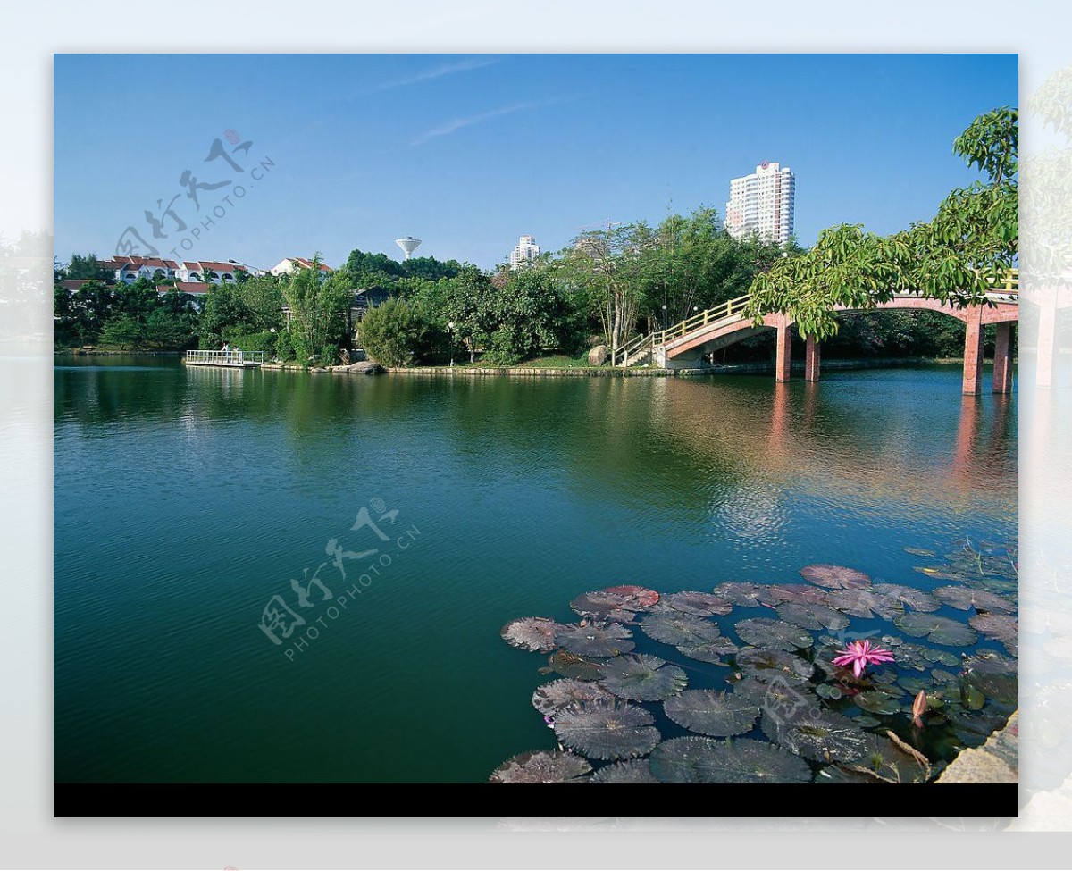 城市园林风景图片