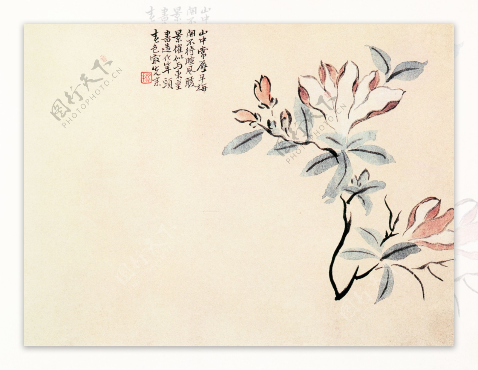 折枝花卉图图片