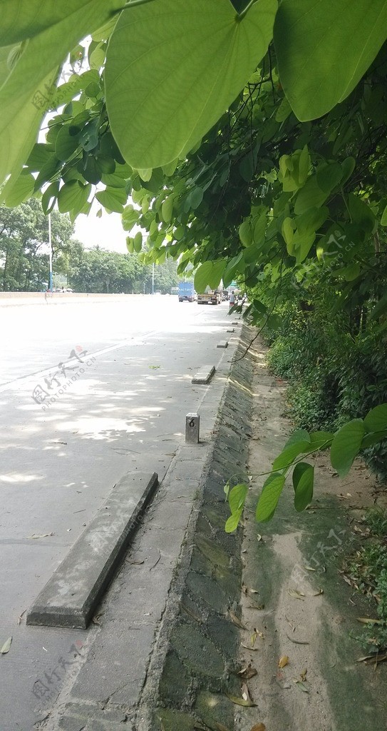 广州公路图片