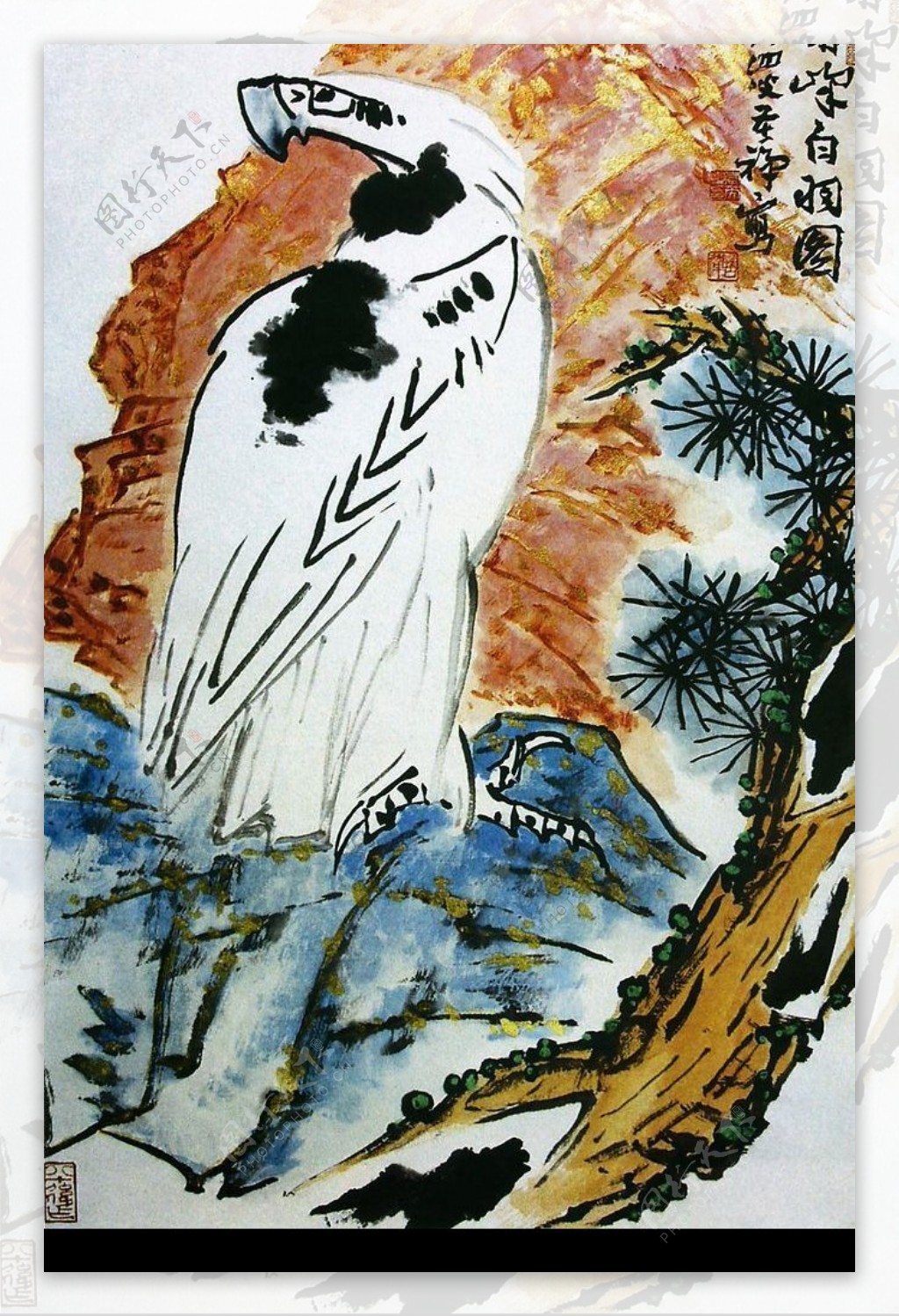 赤峰白羽图图片