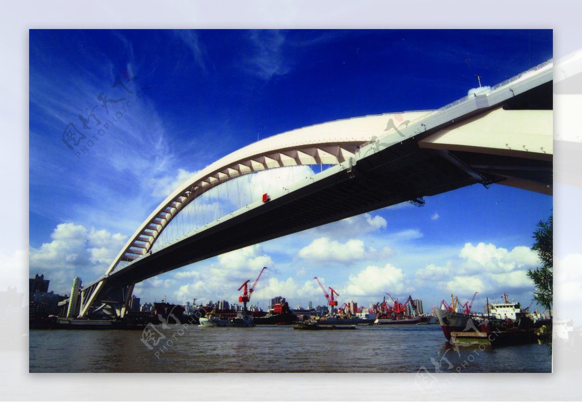 上海卢浦大桥图片