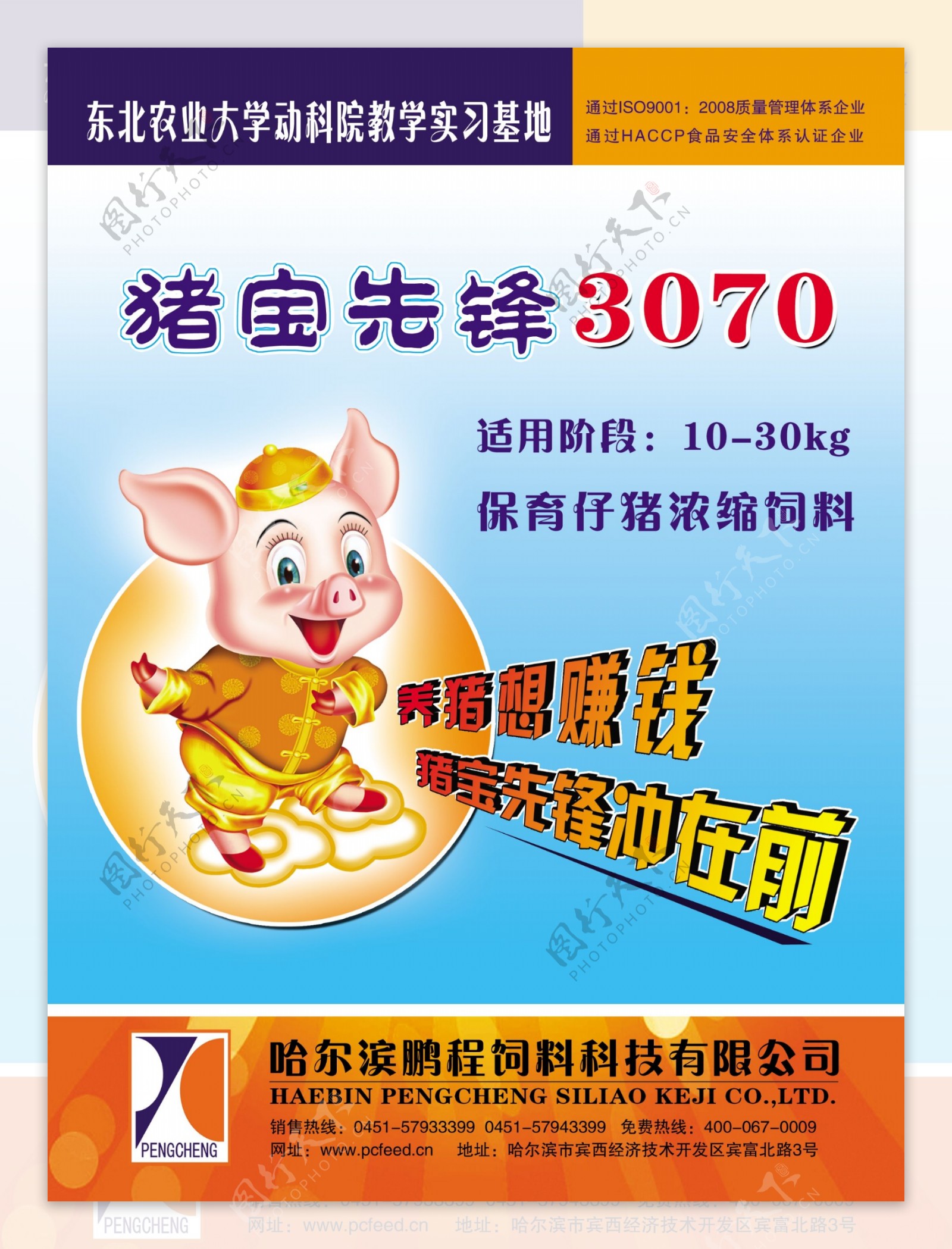 猪饲料宣传广告图片