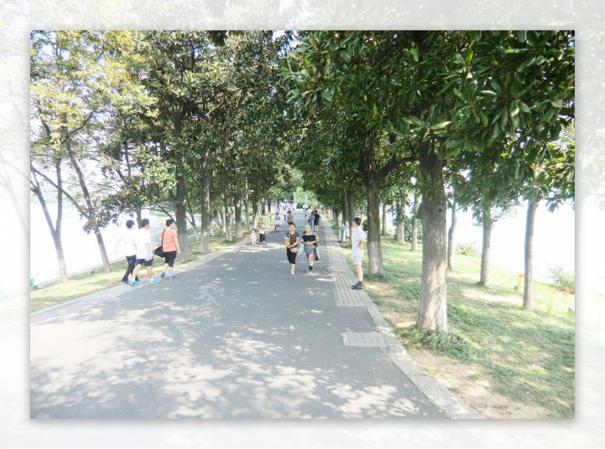 南京玄武湖路图片