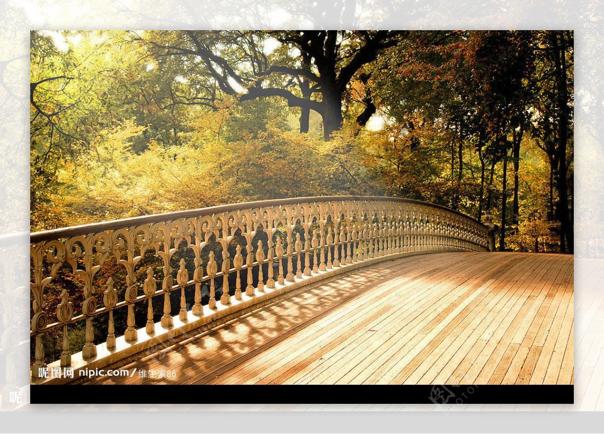 秋日下的桥图片