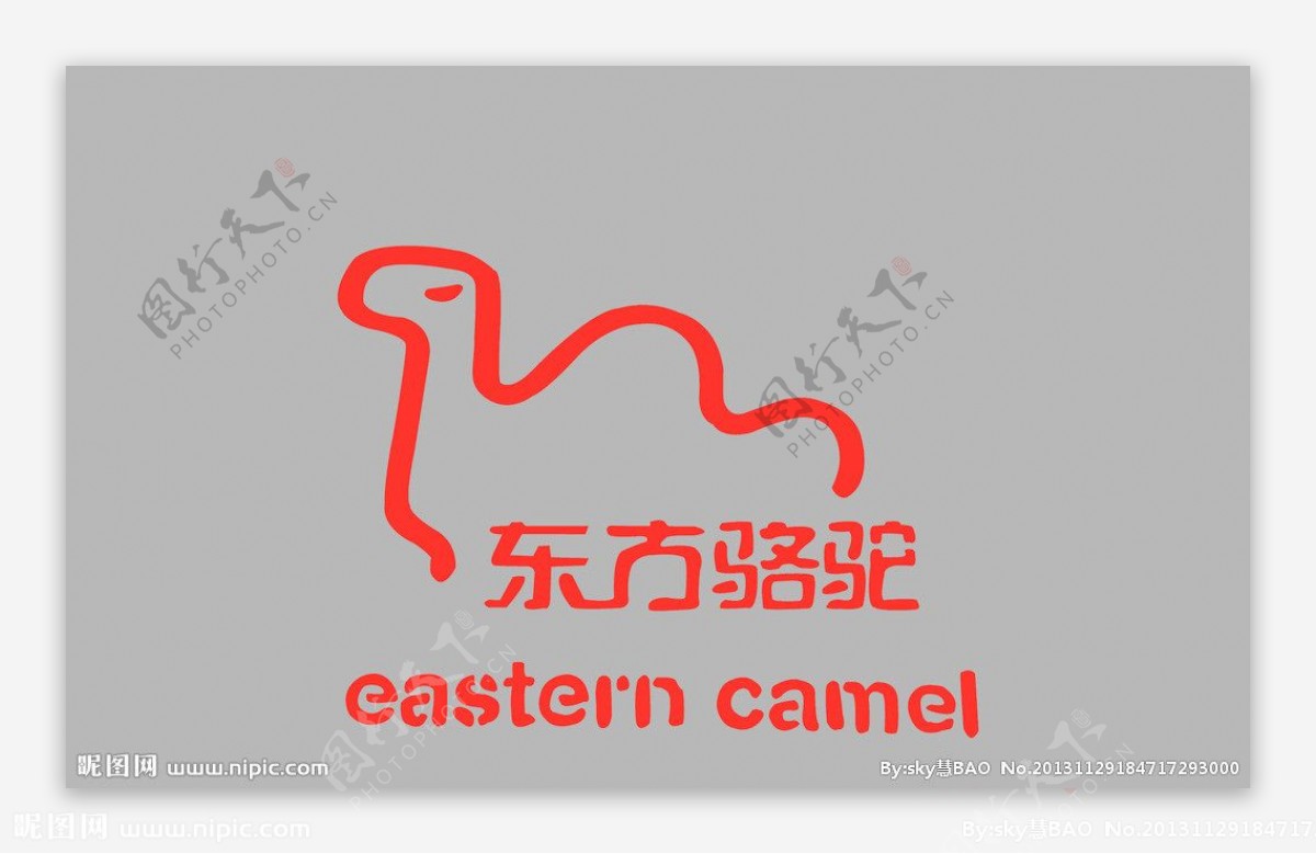东方骆驼图片