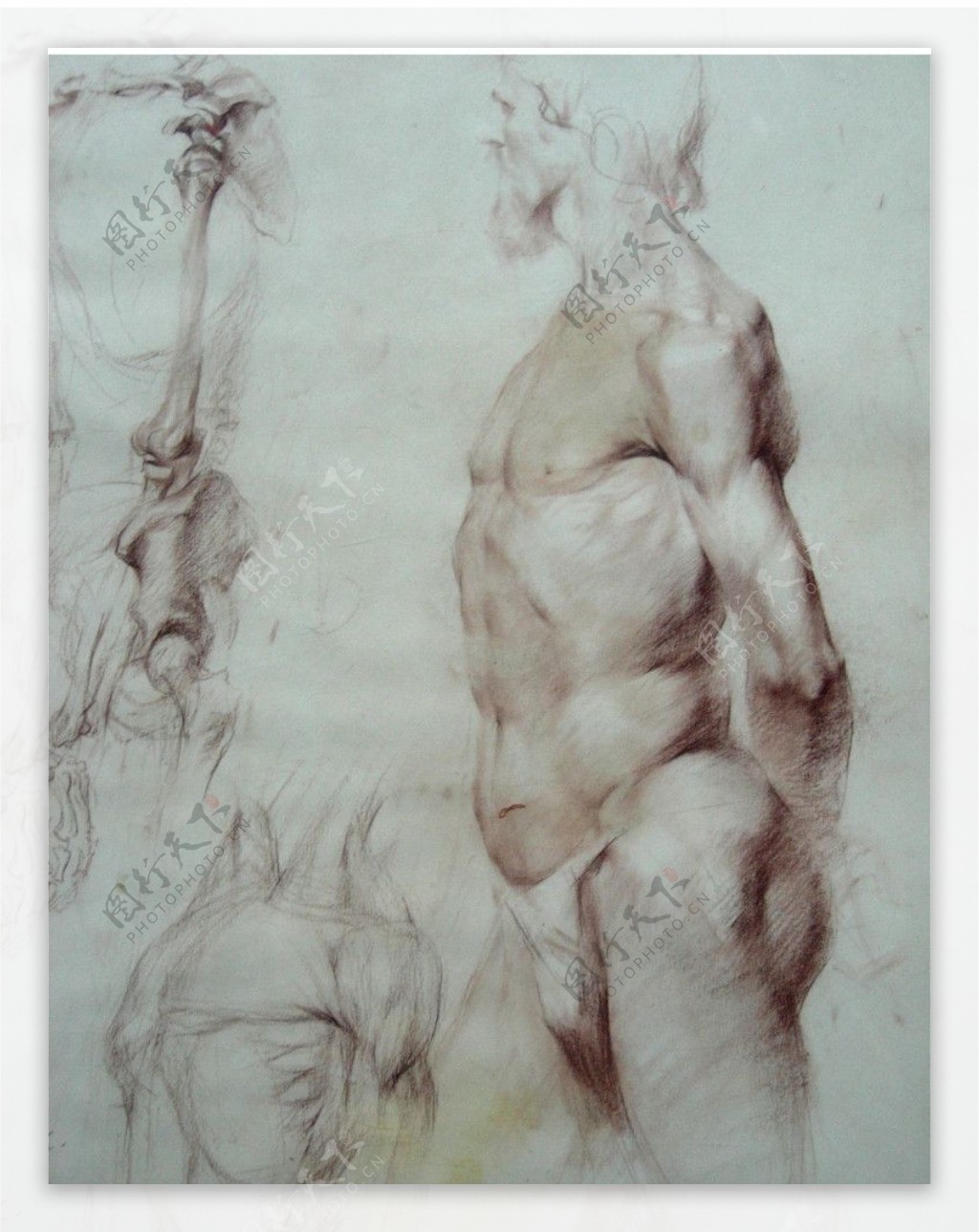 俄罗斯美术作品精品素描男人体写生图片