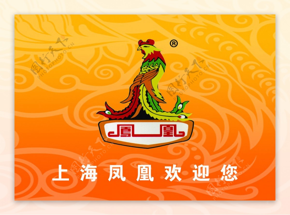 上海凤凰电动车标志图片