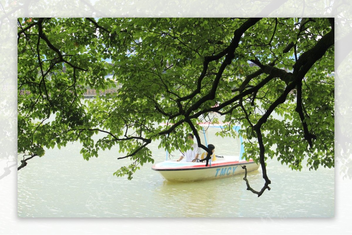 福州西湖风景图片