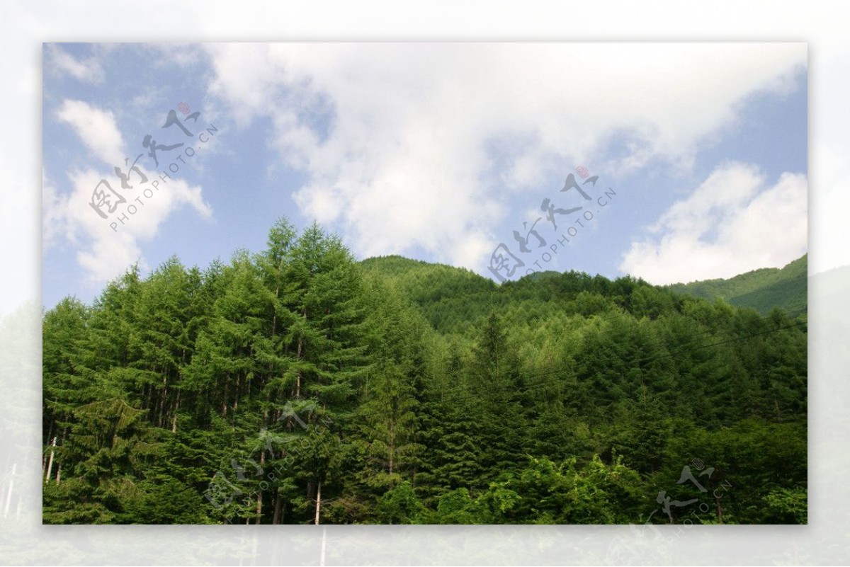 夏山的雲图片