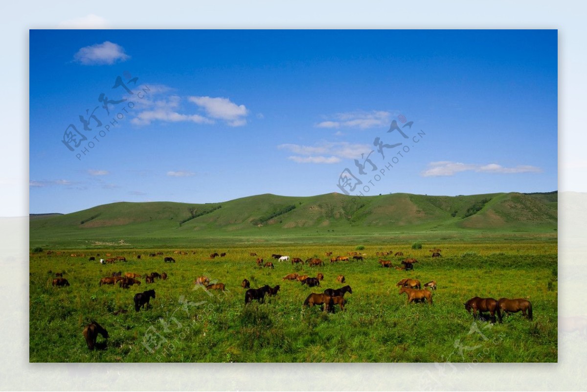乌兰布统草原图片