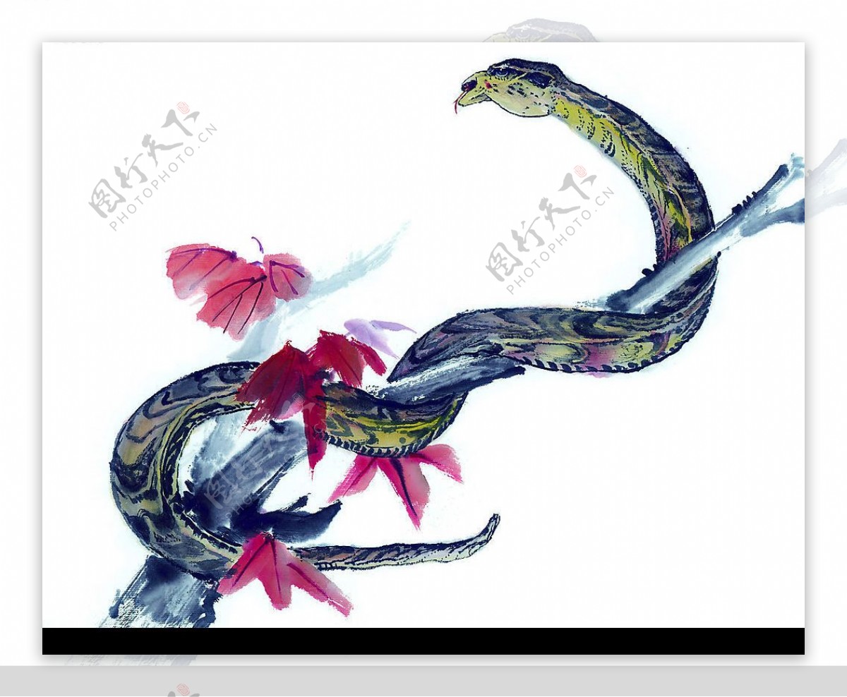 生肖蛇国画图片