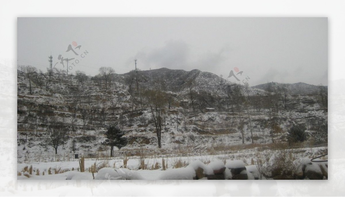 家乡的雪景图片