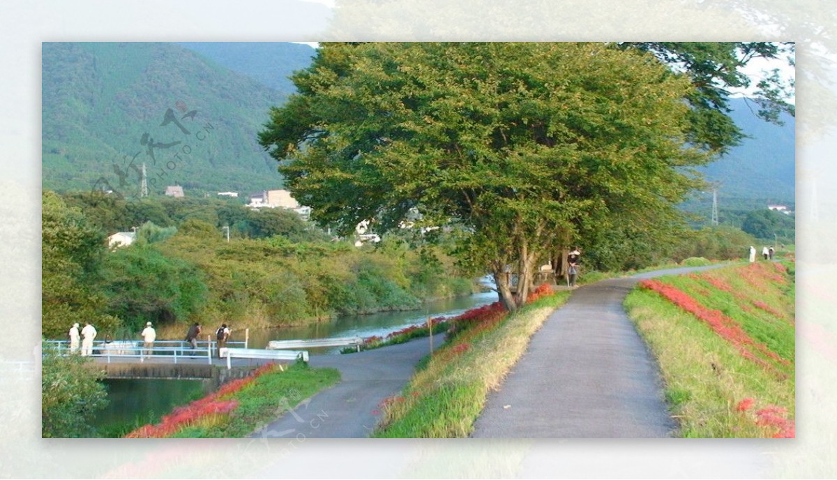 日本风光河堤小路图片