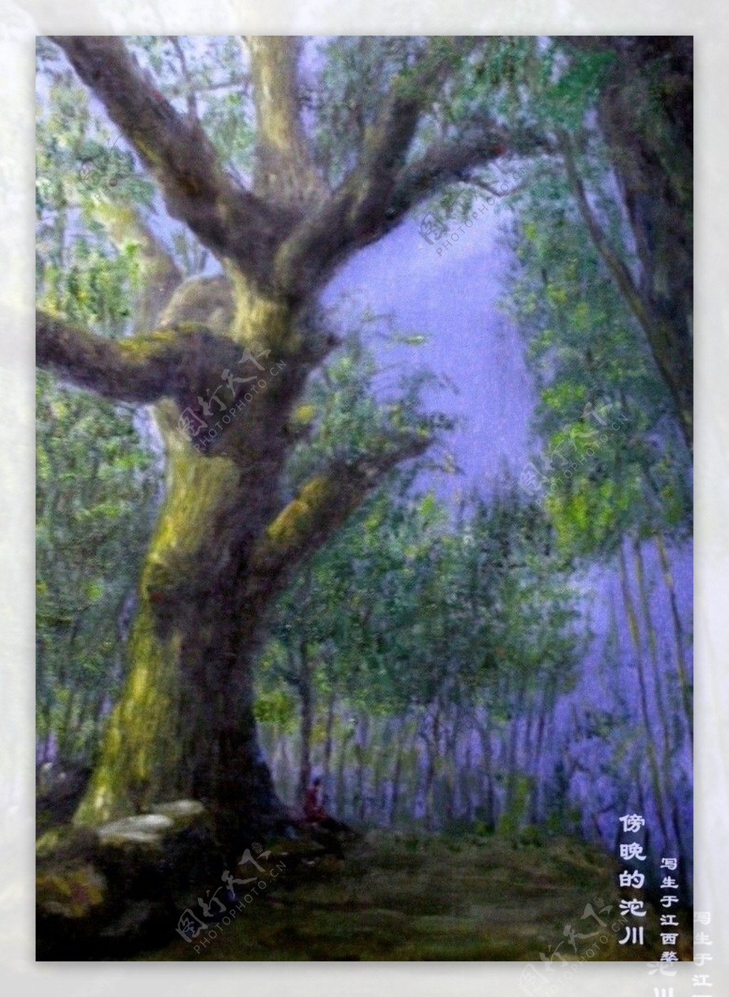 江西老树油画风景写生图片