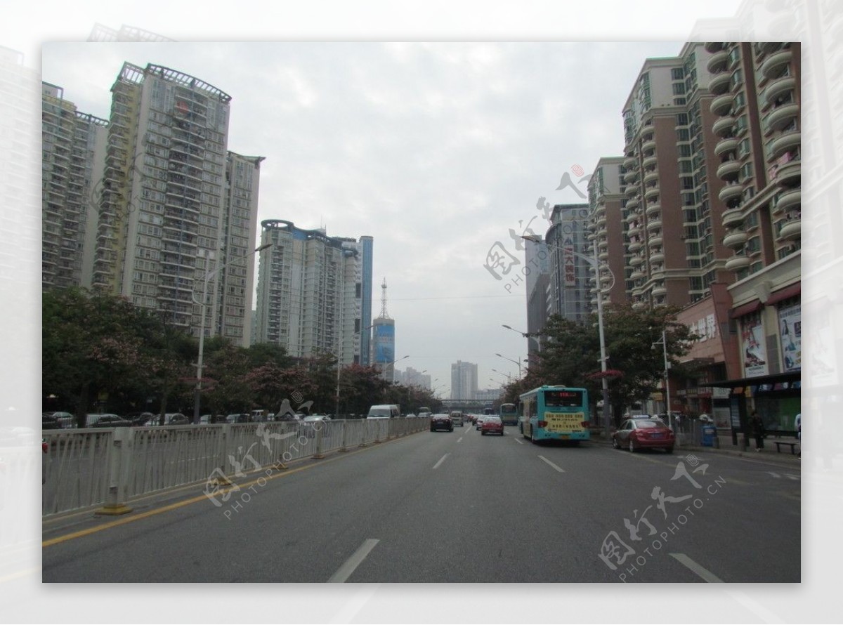 深圳南山街头景观图片
