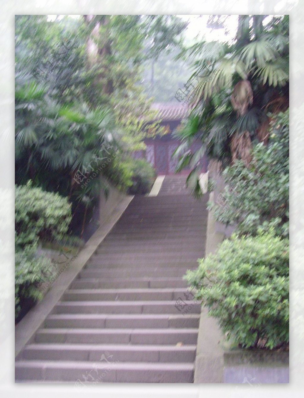 青城山阶梯图片