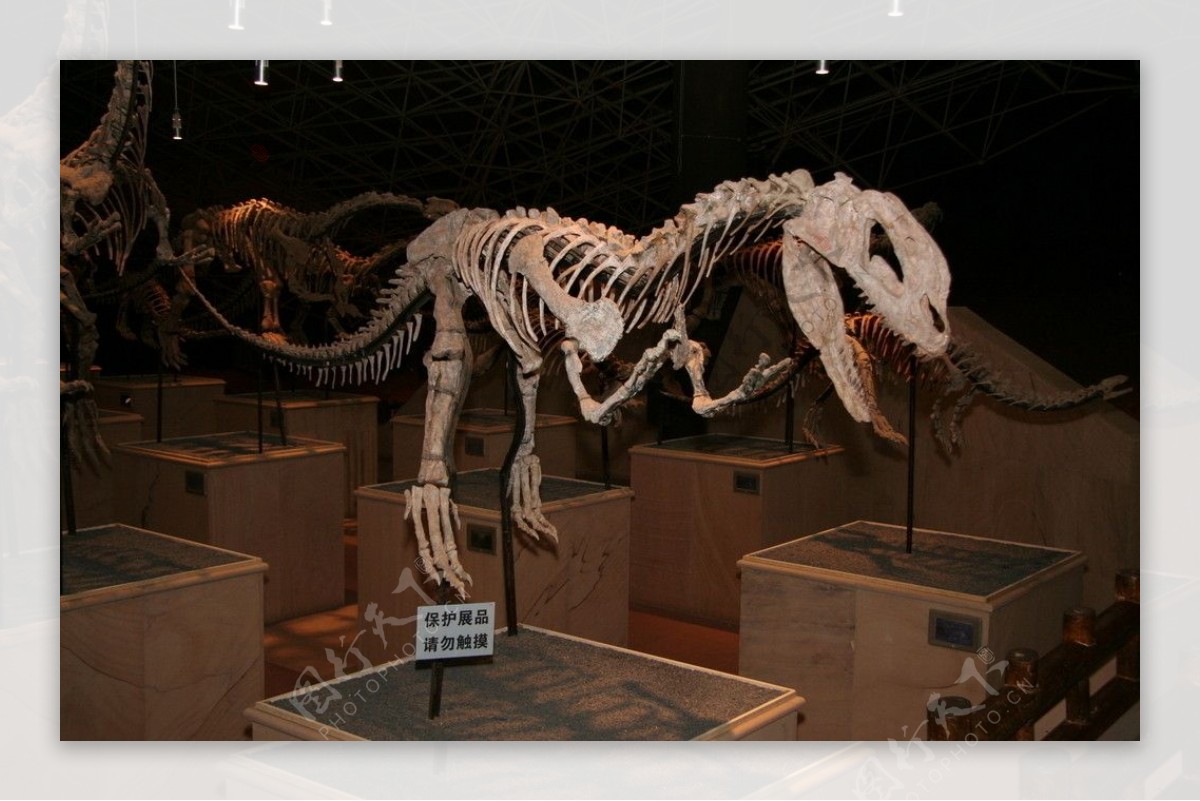 「恐龙蛋 · 诞恐龙」特展 - 每日环球展览 - iMuseum