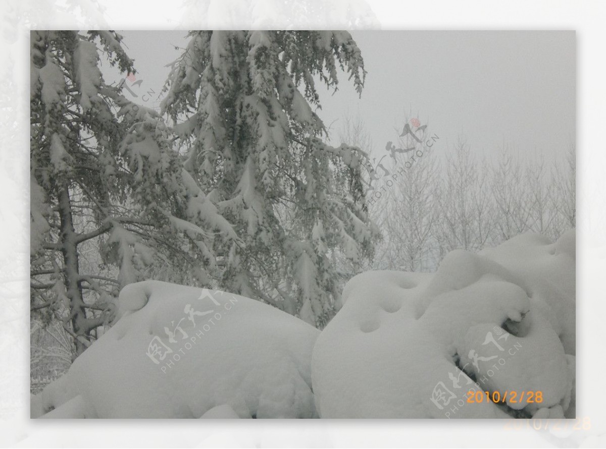 大雪图片