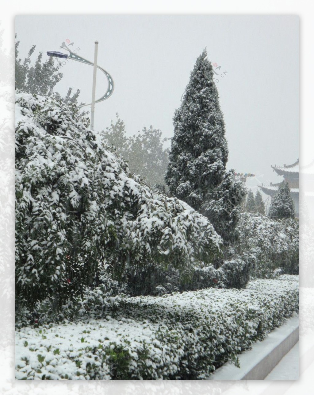 雪景图片