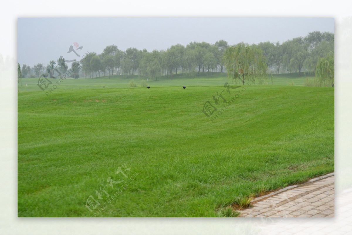 高尔夫草坪图片