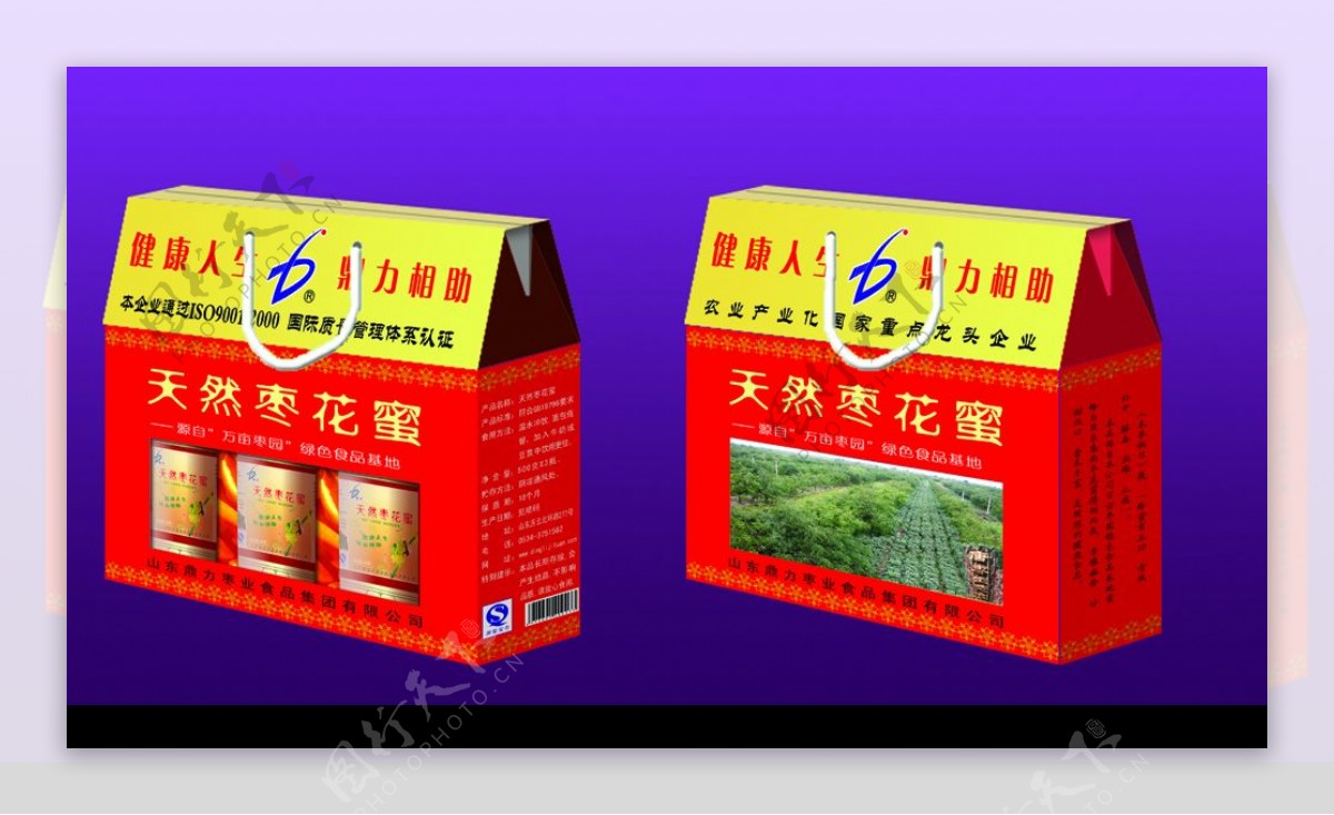 庆云标典制作的鼎力枣花蜂蜜包装非效果图图片