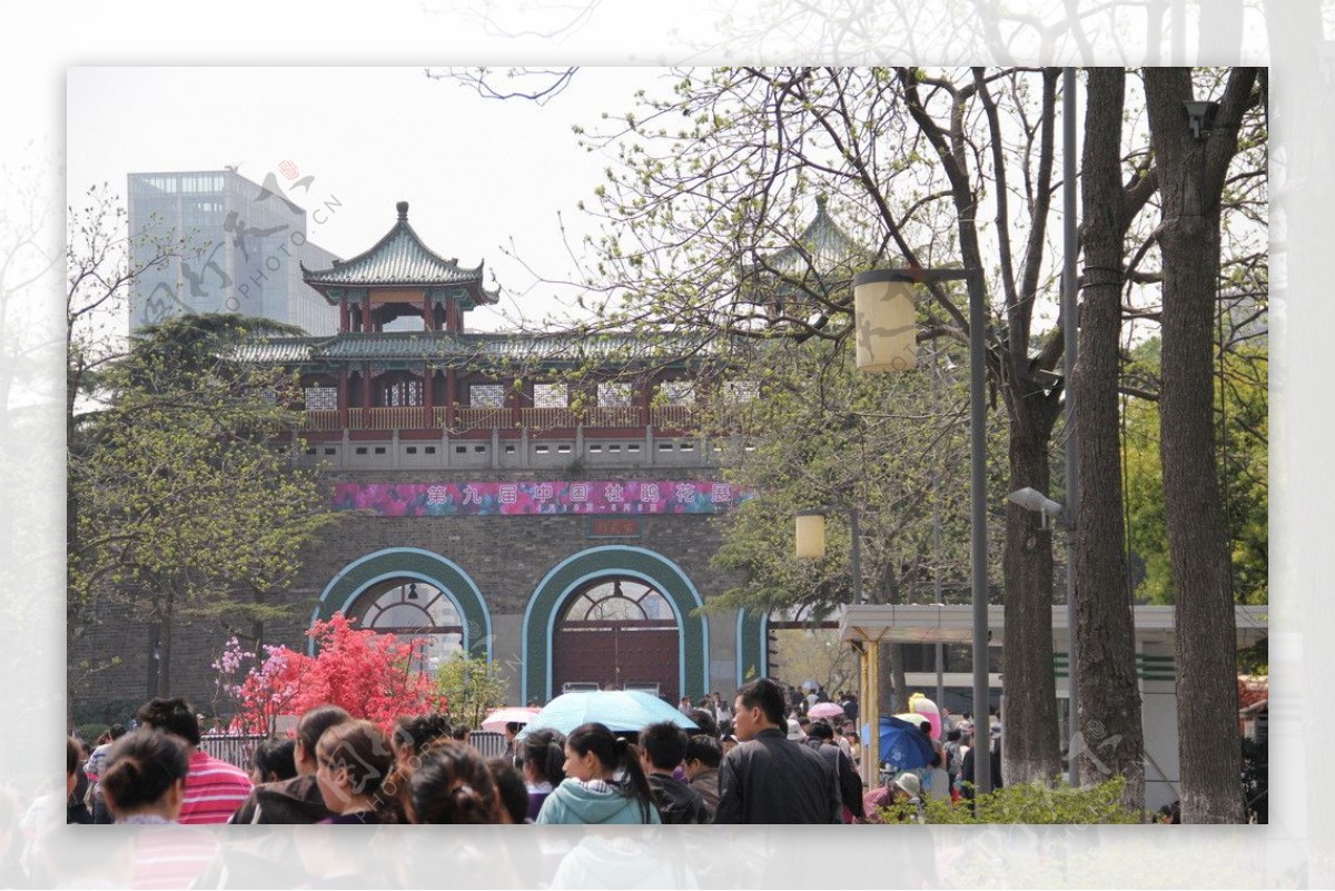 南京古城墙图片