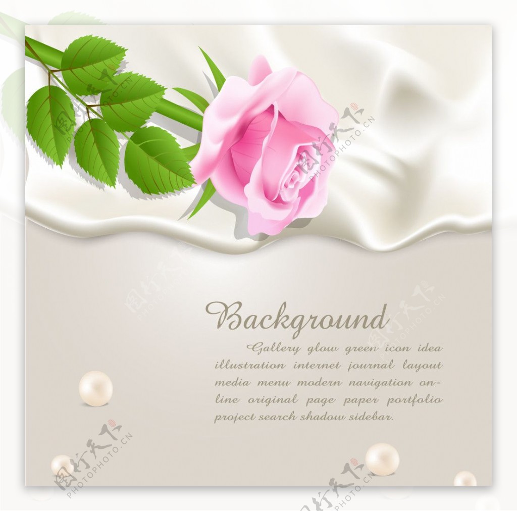 玫瑰花丝绸背景图片