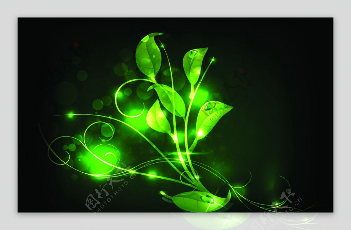 绿色梦幻植物图片