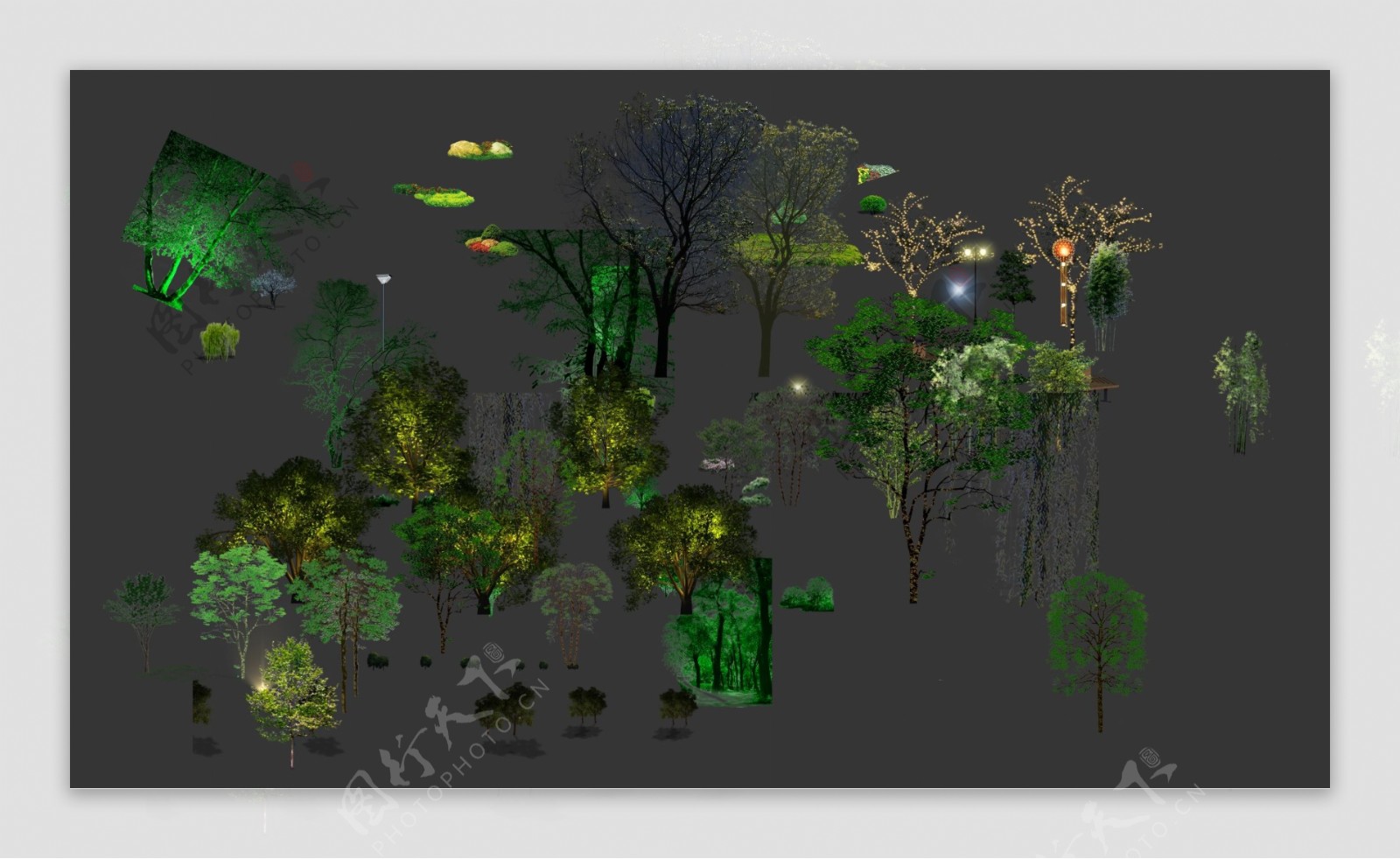 夜景树木效果素材亮化图片